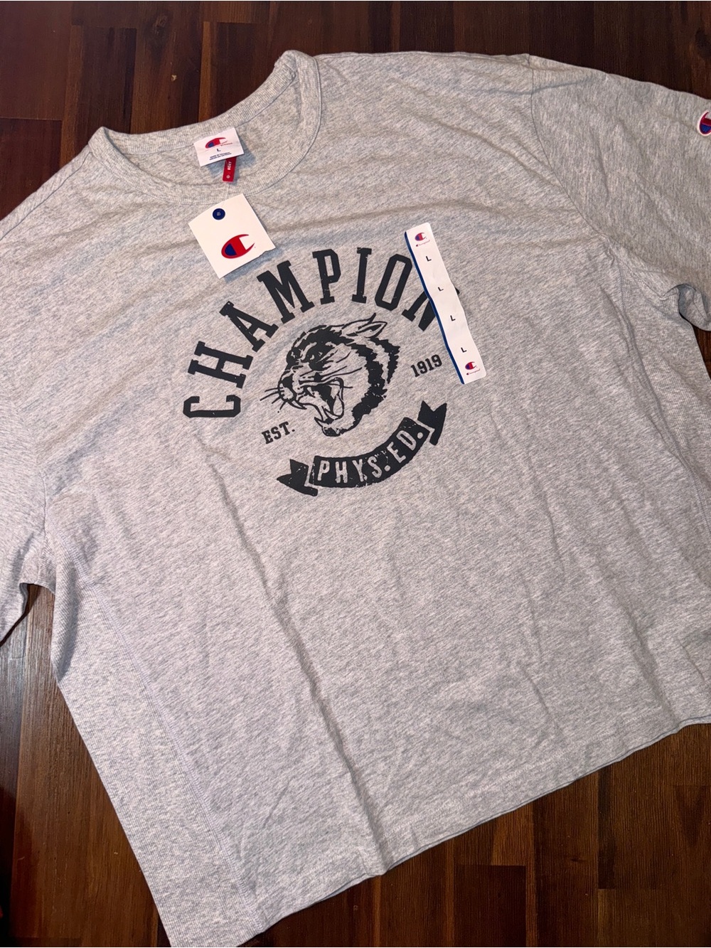 NWT Champion Phys. Ed. Boxy Cropped Graphic T-Shirt – Men’s Large - Picture 2 of 7